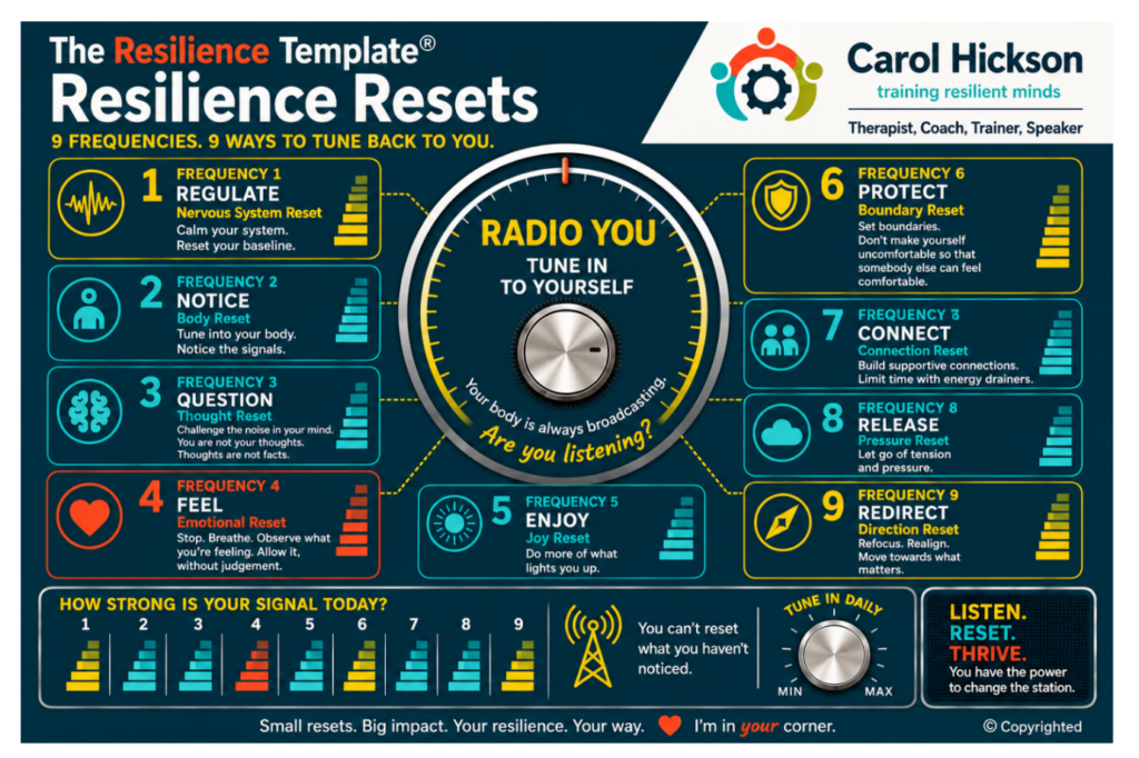 Image of a radio with various bar graphs showing the nine resilience factors - and levels of each.